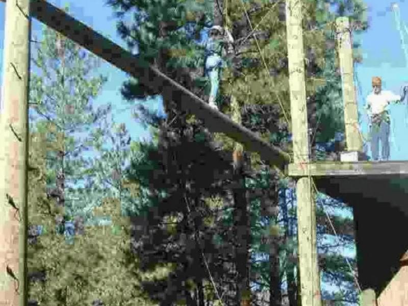 The high ropes catwalk among the pines at Camp Shady Brook