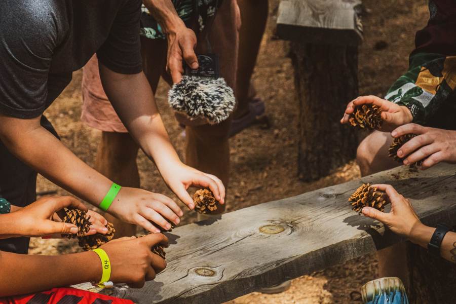 Campers recording the sound of pinecones on a log with a field mic